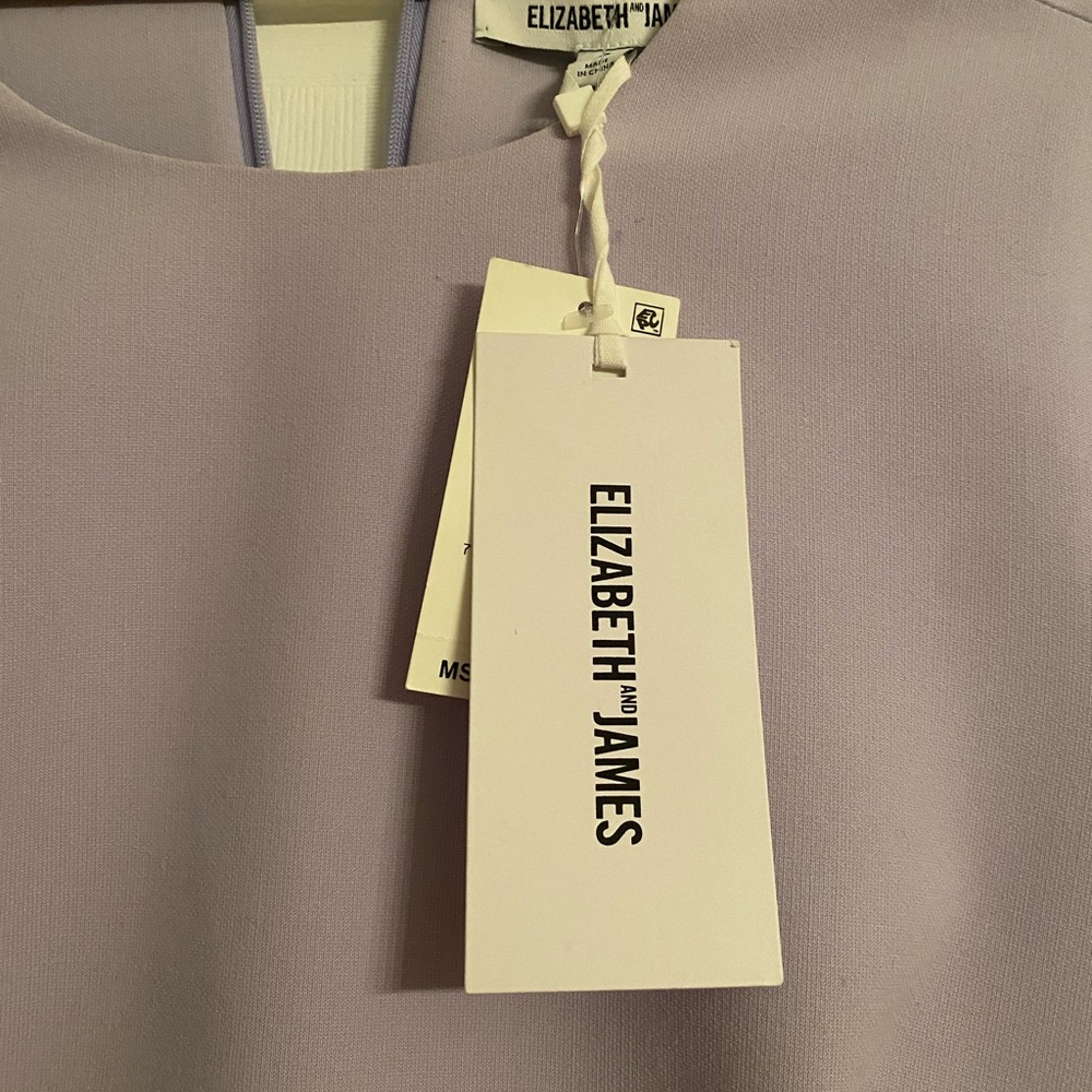 Elizabeth and James Aiala Dress NWT - Picture 5 of 7